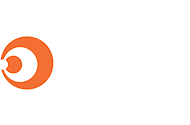 rummycricle